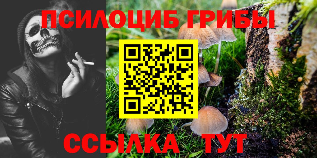 Псилоцибиновые грибы MAGIC MUSHROOMS Алексеевка