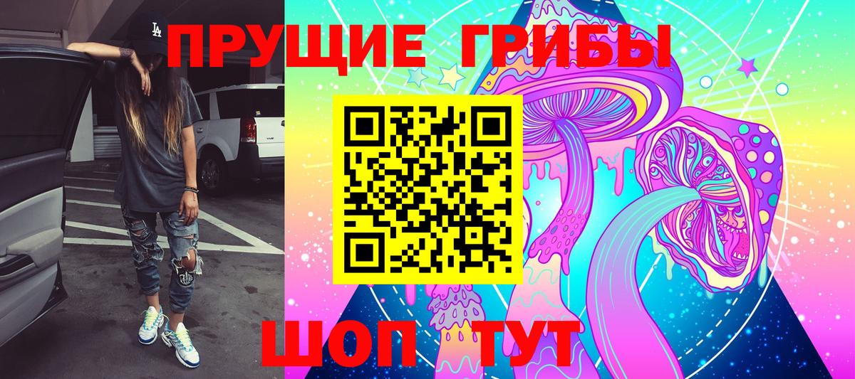 Магазины продажи наркотиков  ЭКСТАЗИ  Бошки Шишки  Алексеевка  Cocaine  Вход с VPN  Codein  КОКАИН  ГАШИШ  Меф МЯУ МЯУ кристаллы 