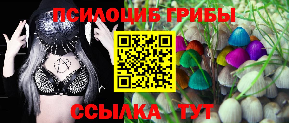 Псилоцибиновые грибы прущие грибы  Вход с VPN  где можно купить   Алексеевка 